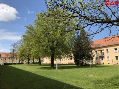 4-Zimmer-Wohnung mieten in Steyr – 67,6 m², € 592 – Bild 17 von 18