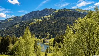 4-Zimmer-Immobilie kaufen in Kitzbühel – 189 m², € 4.960.000 – Bild 43 von 44