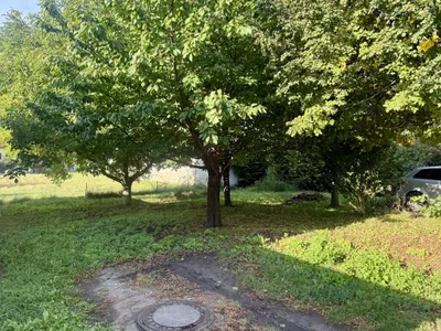 Grundstück kaufen in Eisenstadt - Umgebung – 851 m², € 179.000 – Bild 3 von 10
