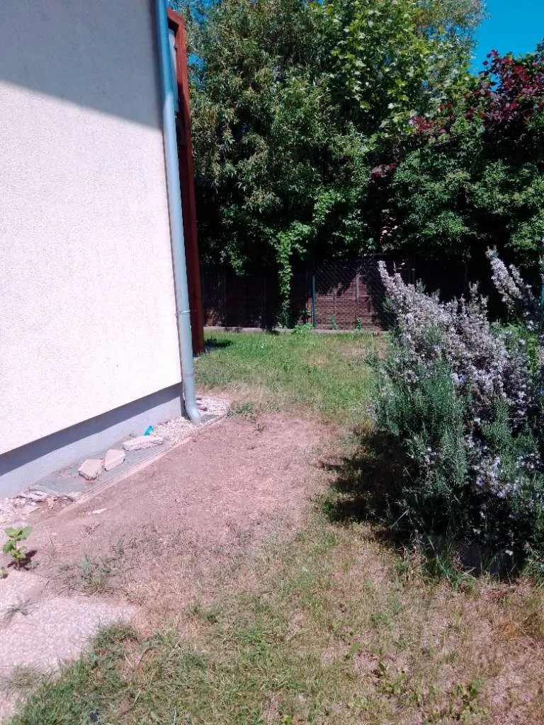 Haus – Seyring - Ansicht 3