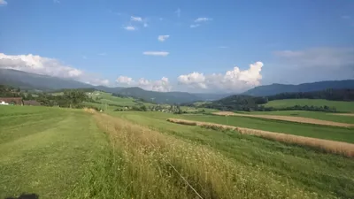 Immobilie mieten in Murau – 1 000 m² – Bild 4 von 10