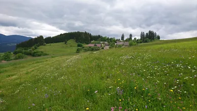 Immobilie mieten in Murau – 1 000 m² – Bild 1 von 10