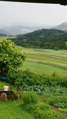 Immobilie mieten in Murau – 1 000 m² – Bild 7 von 10