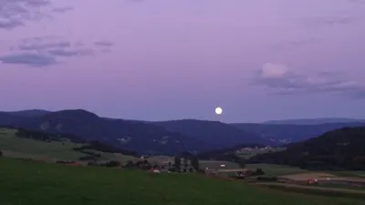 Immobilie mieten in Murau – 1 000 m² – Bild 8 von 10