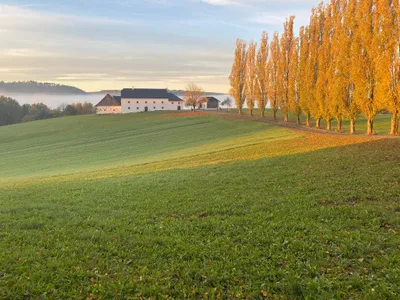 Haus mieten in Freistadt – 72 m², € 1.400 – Bild 17 von 17