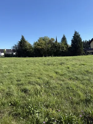 Grundstück zum Kauf in 5230 Braunau am Inn