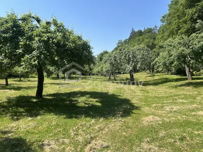 2-Zimmer-Immobilie kaufen in Jennersdorf – 90 m², € 580.000 – Bild 18 von 38
