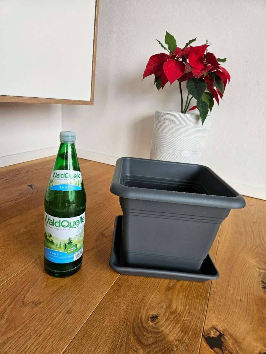 Neu Geli Pflanztopf NORA mit Untersetzer,  6,- (4421 Aschach an der Steyr)  - willhaben