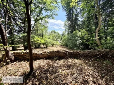 Grundstück kaufen in Deutschlandsberg – 6 763 m², € 299.000 – Bild 8 von 14