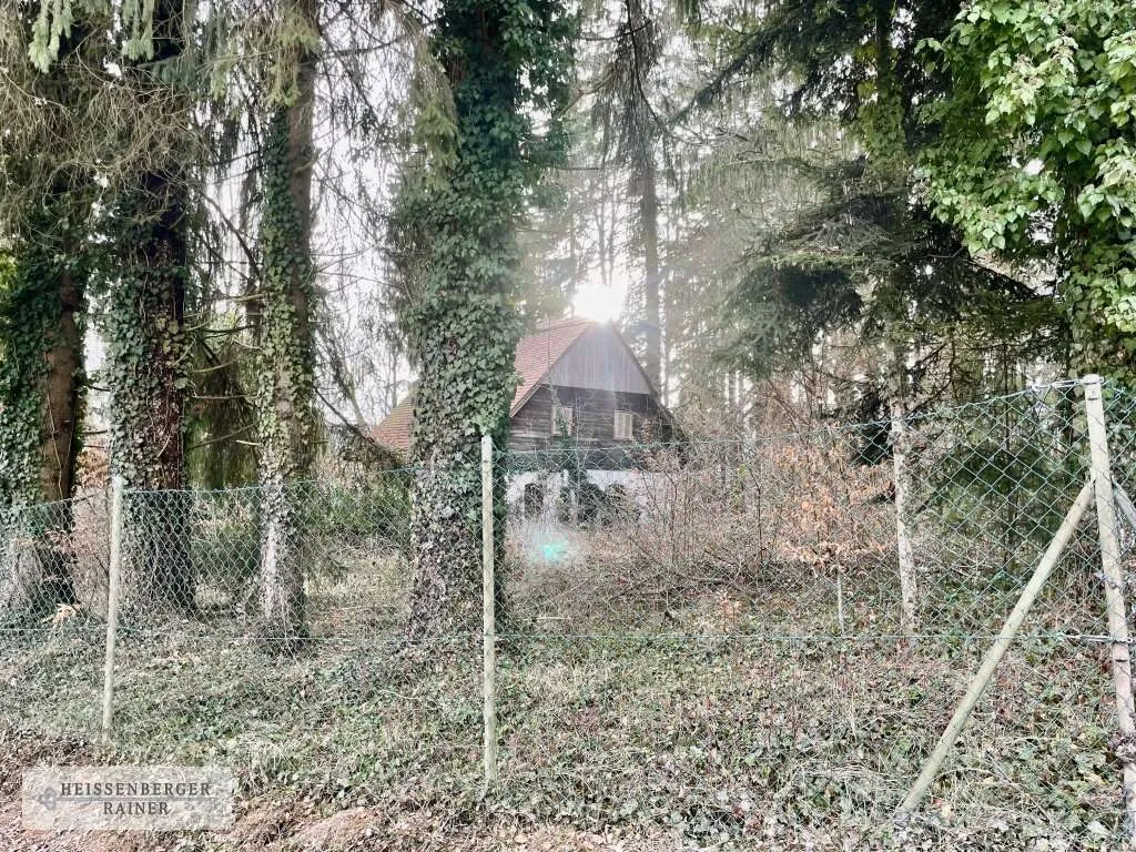 Liebhabergrundstück bei Stainz - Großes Grundstück mit Sanierungsobjekt und Erweiterungspotenzial - Όψη 3