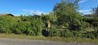 Immobilie mieten in Ried im Innkreis – 700 m², € 18 – Bild 6 von 12