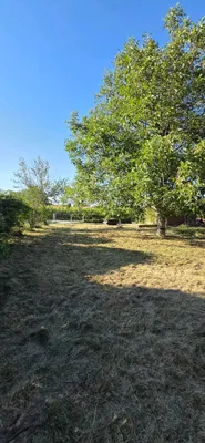 Immobilie mieten in Ried im Innkreis – 700 m², € 18 – Bild 8 von 12