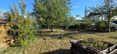 Immobilie mieten in Ried im Innkreis – 700 m², € 18 – Bild 7 von 12