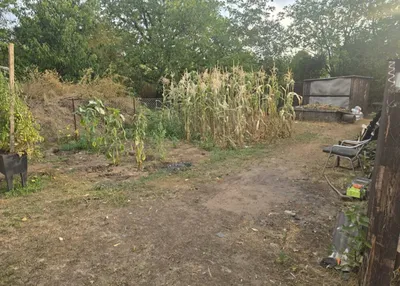 3-Zimmer-Haus mieten in Gänserndorf – 138 m², € 2.000 – Bild 24 von 27