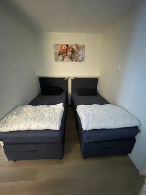1-Zimmer-Wohnung mieten in Bregenz – 33 m², € 850 – Bild 6 von 16
