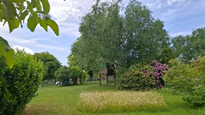 Grundstück kaufen in Wels-Land – 777 m², € 269.000 – Bild 3 von 10