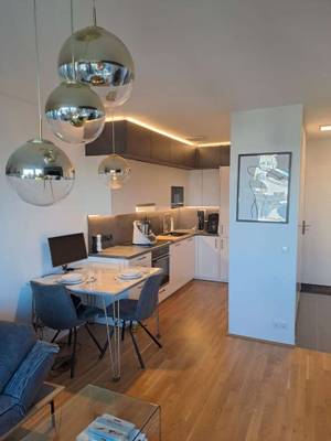 Eingerichtete 2 Zimmerwohnung Inklusive Küche, Einbauschränke, Schlafsofa, Bett, Tisch mit Sesseln, Fernseher und mit südseitigen Balkon.