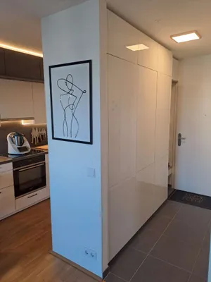 Eingerichtete 2 Zimmerwohnung Inklusive Küche, Einbauschränke, Schlafsofa, Bett, Tisch mit Sesseln, Fernseher und mit südseitigen Balkon. – Bild 3