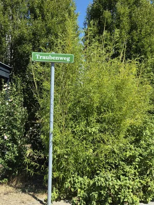 2-Zimmer-Wohnung mieten in Tulln – 59,36 m², € 698 – Bild 6 von 24