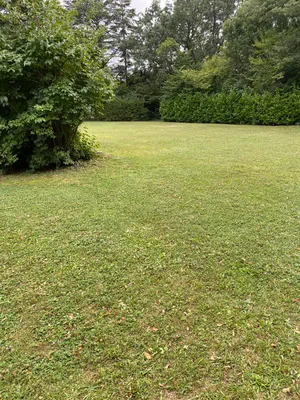 Grundstück mieten in Eisenstadt - Umgebung – 1 078 m², € 6 – Bild 15 von 23