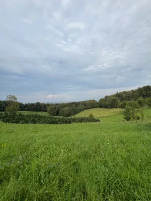 Grundstück kaufen in Leibnitz – 1 375 m², € 120.000 – Bild 4 von 6