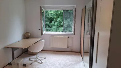 1-Zimmer-Wohnung mieten in Korneuburg – 113 m², € 390