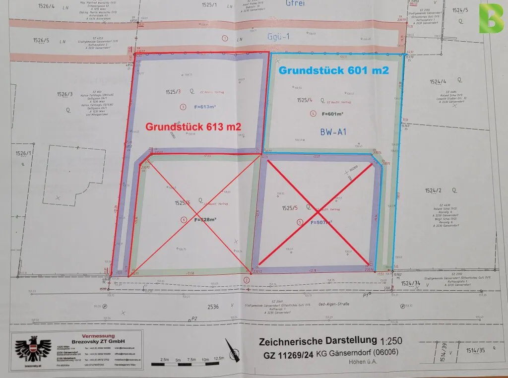 Baugrundstück in Gänserndorf-Süd - ruhige Lage, freier Feldblick, KEIN Bauzwang - Ansicht 3