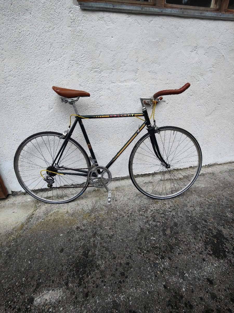 Peugeot Rennrad,  399,- (6610 Wngle) - willhaben