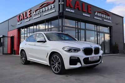 BMW X4 xDrive 30d M Sport Aut.*Panoramadach*Navi*Led*