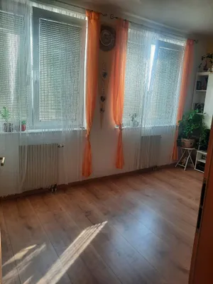 Wohnung zur Miete in 2020 Hollabrunn