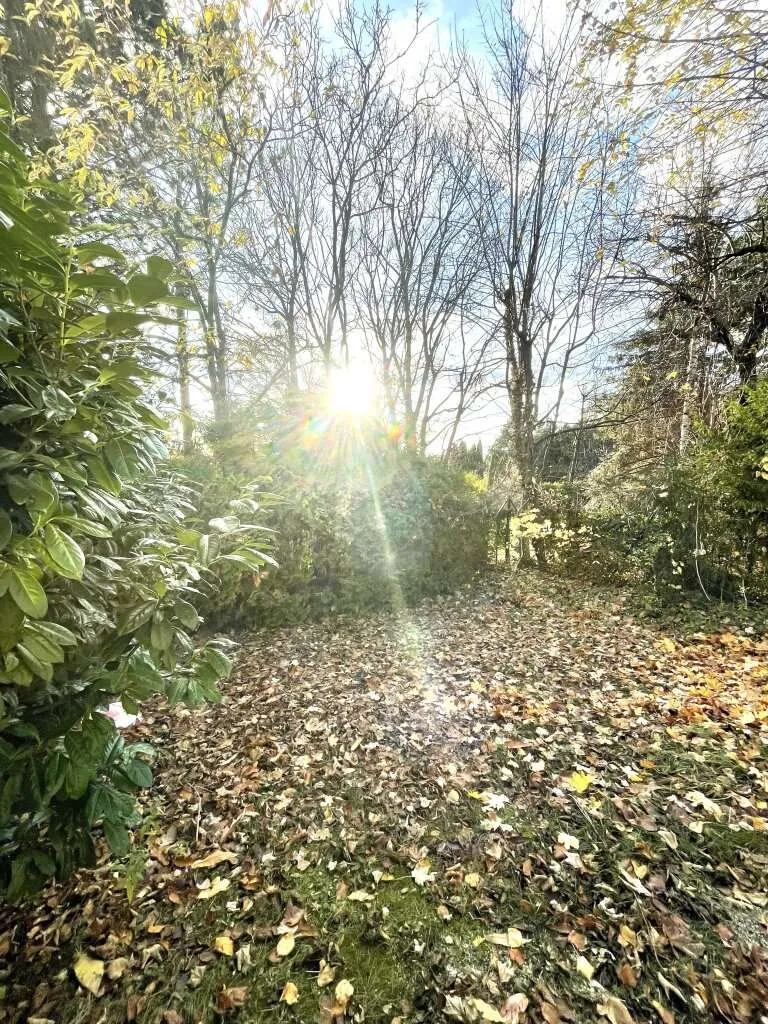 Prestige Living in Sievering: Großzügige Gartenwohnung mit Stil – pohled 2