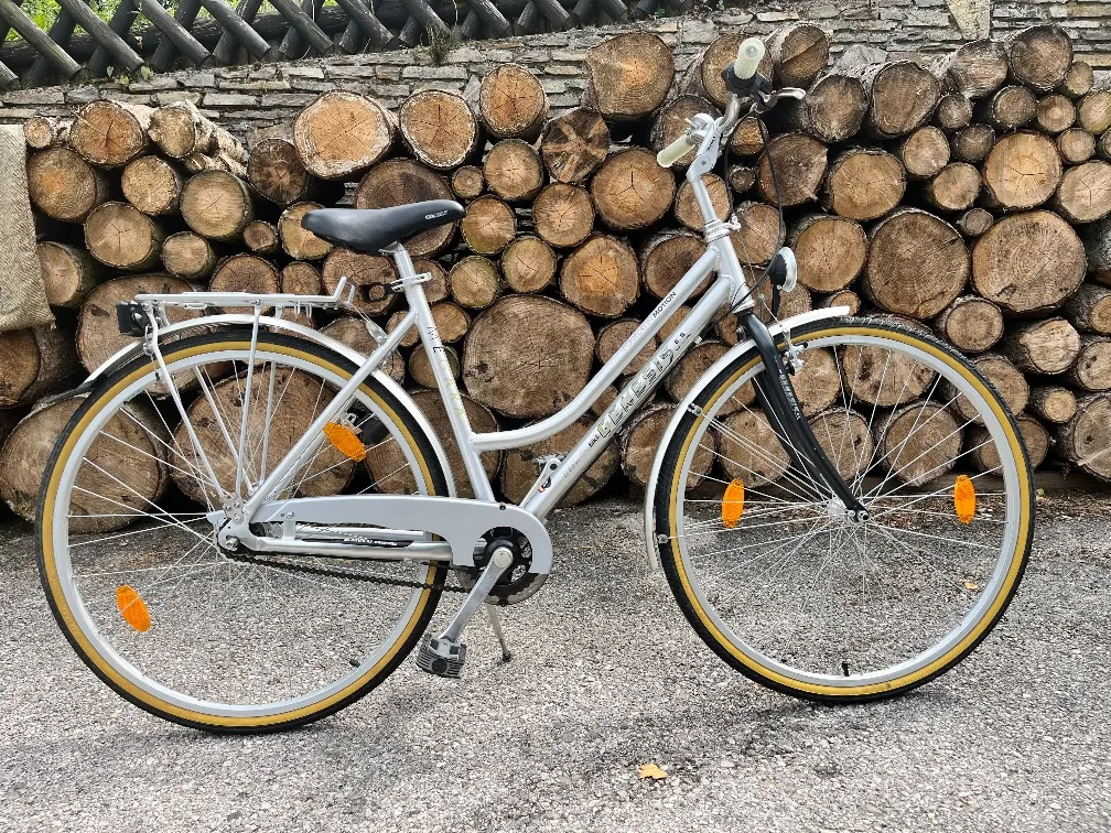 hunde fahrrad anhnger Croozer Dog Enna Hundefahrradanhnger