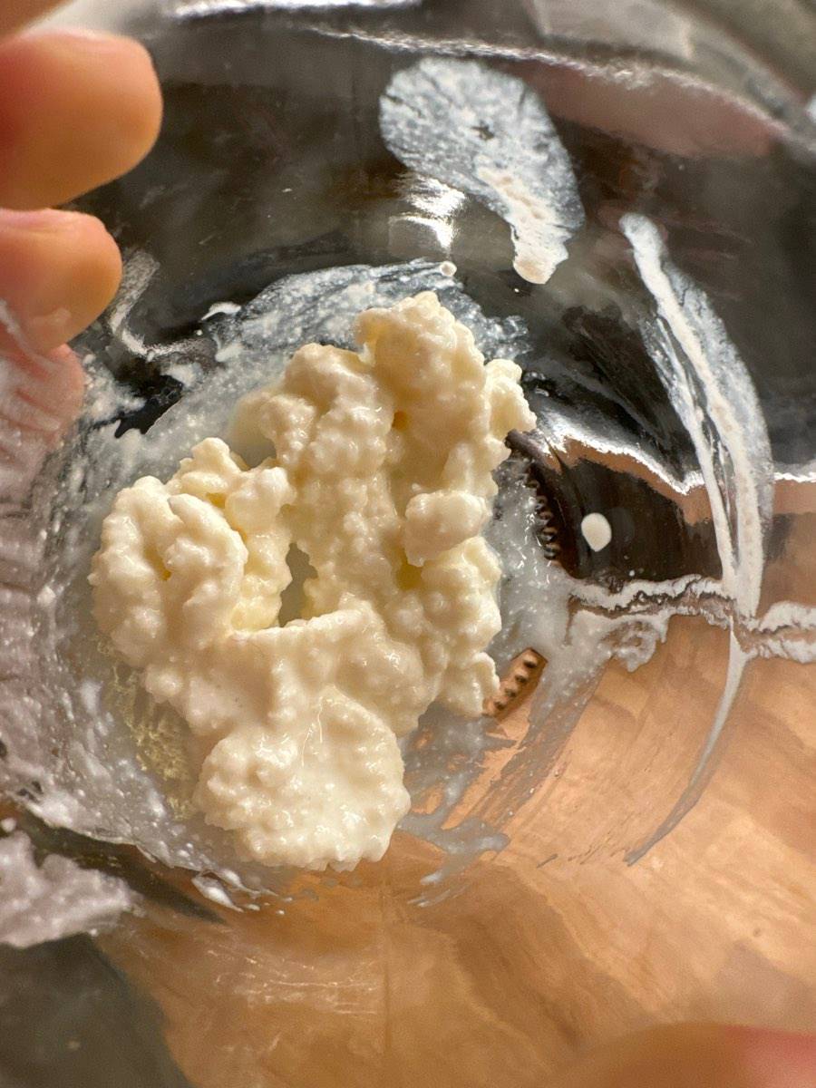 Kefirknollen Milchkefir