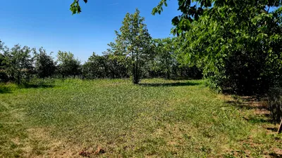 Grundstück kaufen in Gänserndorf – 900 m², € 75.000 – Bild 11 von 12