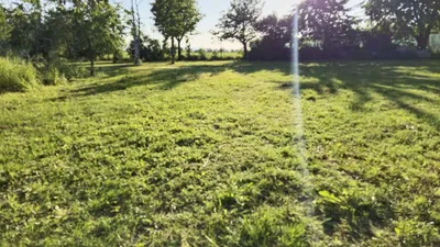 Grundstück kaufen in Gänserndorf – 900 m², € 75.000 – Bild 5 von 12