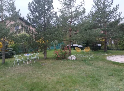 Grundstück mieten in Wiener Neustadt Land – 600 m², € 2.920 – Bild 9 von 12