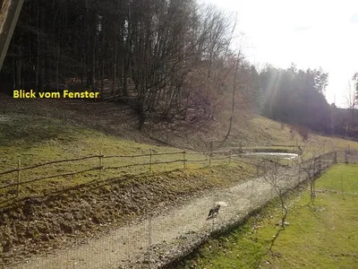 2-Zimmer-Wohnung mieten in Südoststeiermark – 45 m², € 530 – Bild 12 von 13