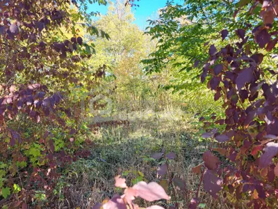 Grundstück kaufen in Wiener Neustadt Land – 849 m², € 299.000 – Bild 1 von 2