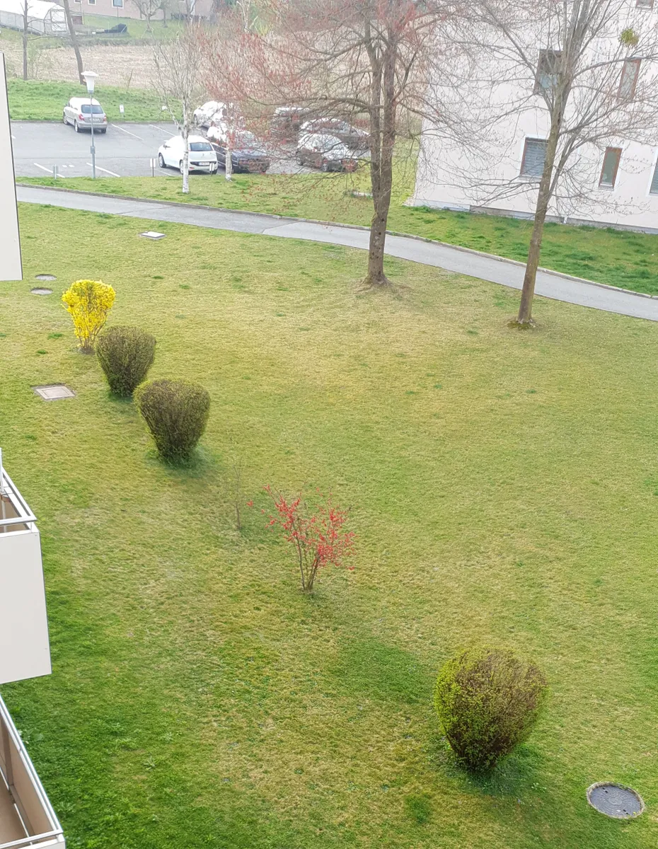 Wohnung – Leutschach an der Weinstraße, Bezirk Leibnitz - Ansicht 3