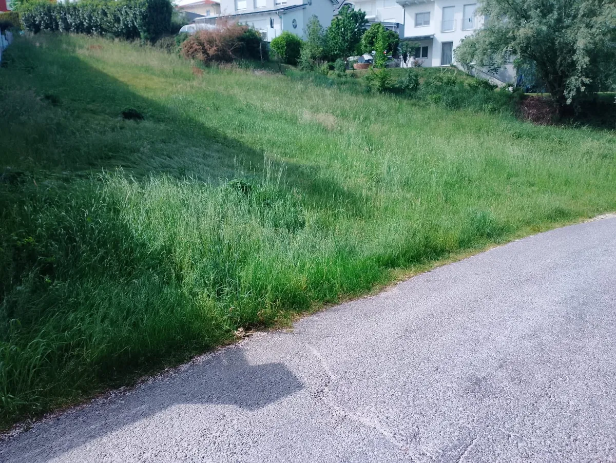 Großzügiges Grundstück in schöner Wohngegend - Ansicht 3