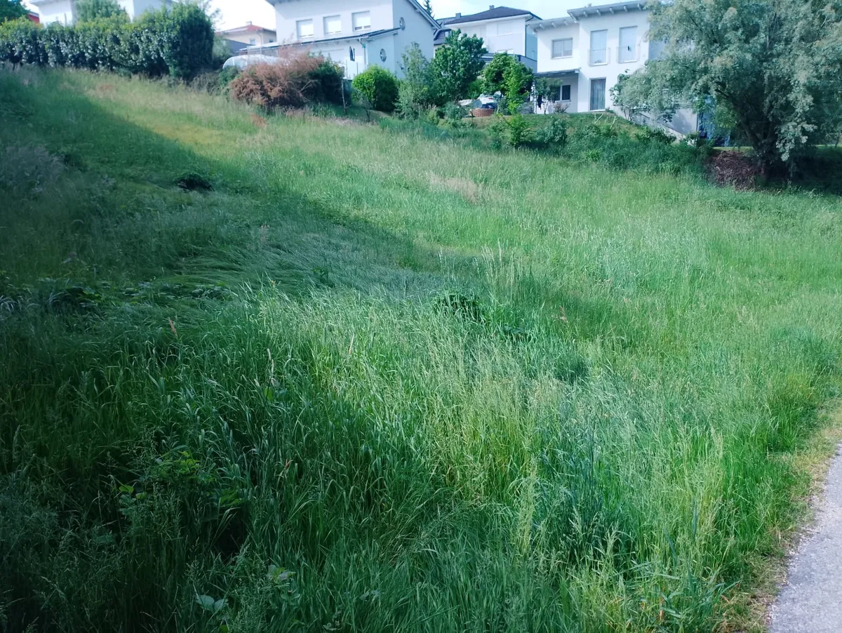 Großzügiges Grundstück in schöner Wohngegend - Ansicht 2