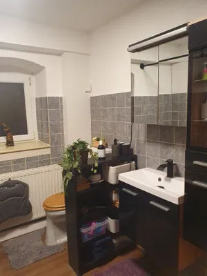 2-Zimmer-Haus mieten in Urfahr-Umgebung – 47 m², € 700 – Bild 8 von 13