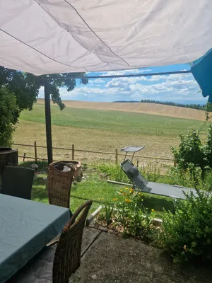 2-Zimmer-Haus mieten in Urfahr-Umgebung – 47 m², € 700 – Bild 5 von 13