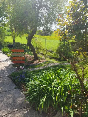 2-Zimmer-Haus mieten in Urfahr-Umgebung – 47 m², € 700 – Bild 3 von 13