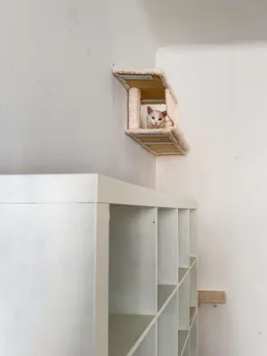 2-Zimmer-Wohnung mieten in Wien – 25 m², € 620 – Bild 10 von 26