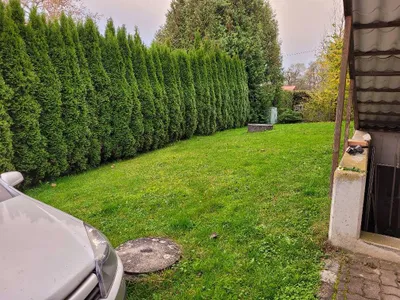 3-Zimmer-Wohnung mieten in Ried im Innkreis – 75 m², € 650 – Bild 4 von 5
