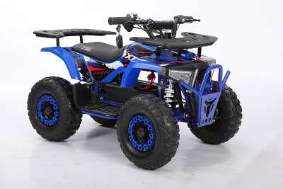 XTL Mini Ares 1000W Elektroquad