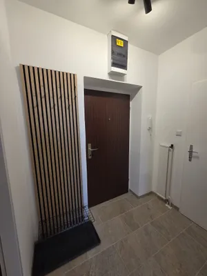 1-Zimmer-Wohnung mieten in Wiener Neustadt – 40 m², € 745 – Bild 9 von 13