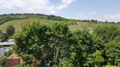 Grundstück kaufen in Tulln – 1 317 m², € 1.400.000 – Bild 9 von 13