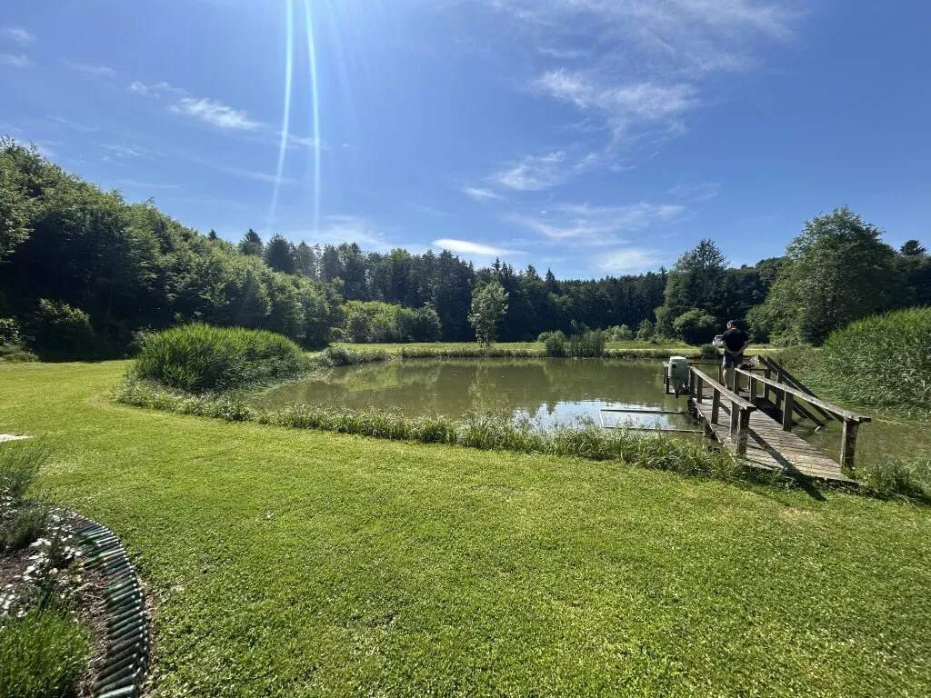 Ferienhaus mit eigenem Naturteich - Ruhe, Erholung & Natur pur – pohled 3
